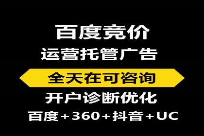 SEM推广技巧：成功案例深度剖析
